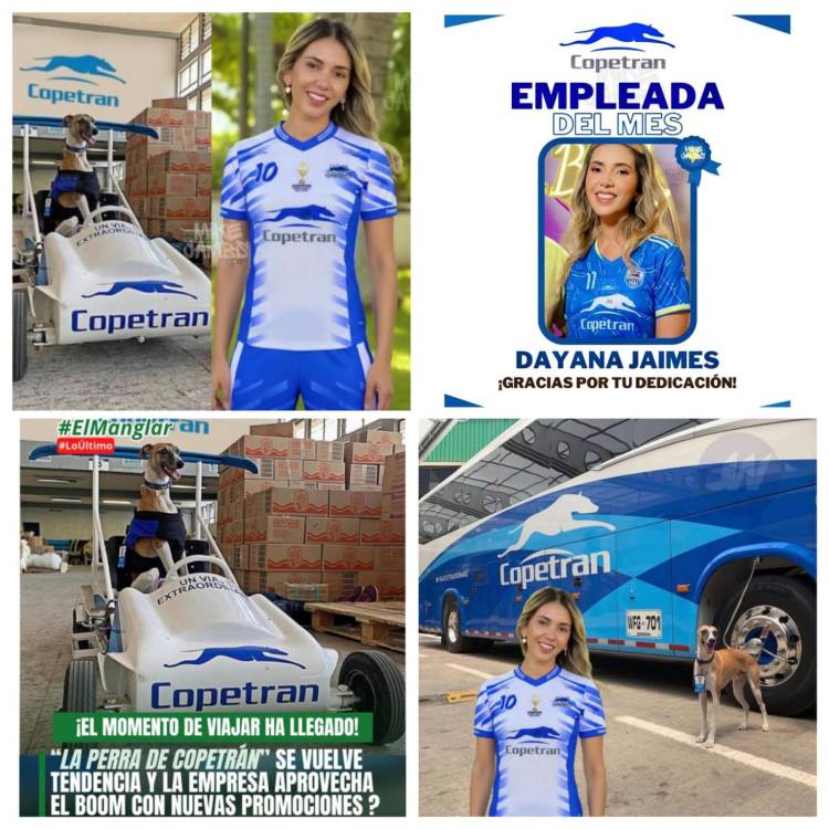 Los memes no se hicieron esperar e inundaron las redes. <b><span class=mln_small-caps_mln>/ FOTOS TOMADAS DE REDES SOCIALES</span></b>