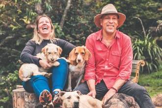 Hoy en la corporación, liderada por Ángel y Viviana (en la foto), hay 188 perros, 42 gatos, 4 caballos, 4 mini pigs y algunos animales silvestres. FOTOS: CORTESÍA