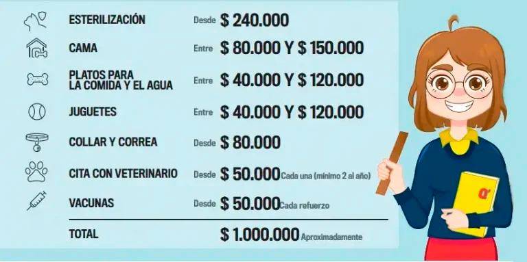 Productos, costos y consejos para la manutención de su mascota