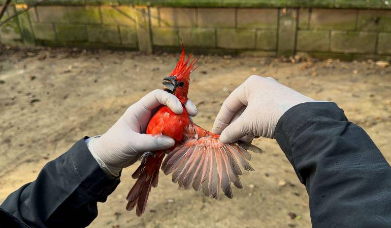 FOTO: ÁREA METROPOLITANA