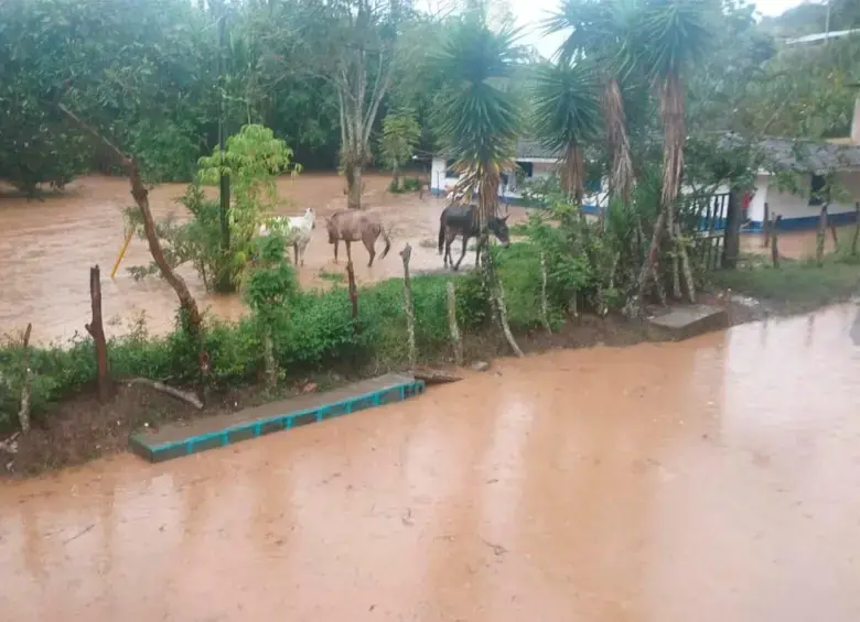 Las autoridades insisten en que la prevención puede salvar vidas. FOTO: DAGRAN
