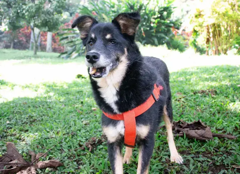 /FOTO: ALCALDÍA DE MEDELLÍN