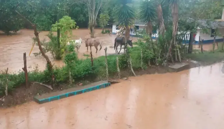 Las autoridades insisten en que la prevención puede salvar vidas. FOTO: DAGRAN