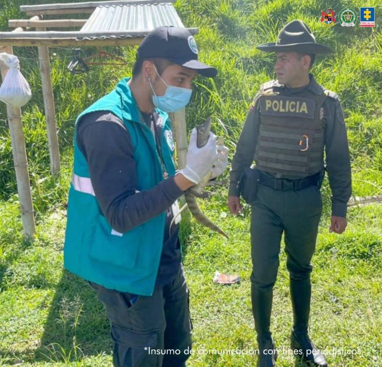 Animales rescatados.<b><span class=mln_small-caps_mln>/FOTO: FISCALÍA</span></b>