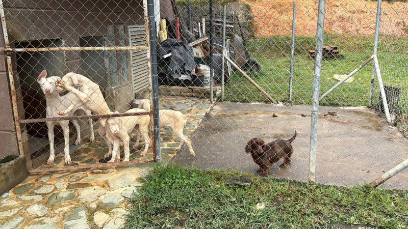 FOTO: ALCALDÍA DE MEDELLÍN