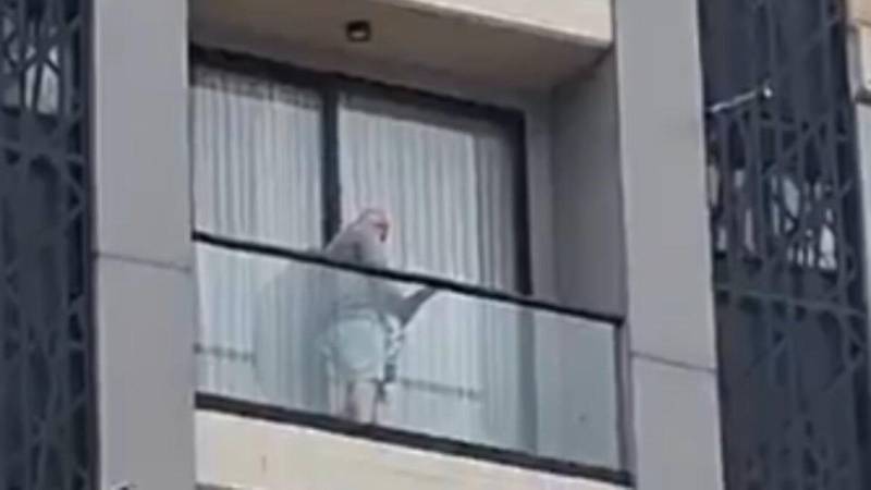 FOTO: CAPTURA DE VIDEO