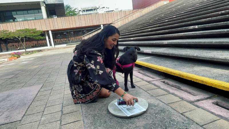 Estos elementos están en varias zonas de la ciudad. FOTO: ALCALDÍA DE MEDELLÍN 