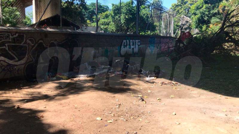 Contra este muro del Parque Norte, bajo el viaducto del metro, ocurrió el crimen. /FOTO: LAURA ROSA JIMÉNEZ VALENCIA