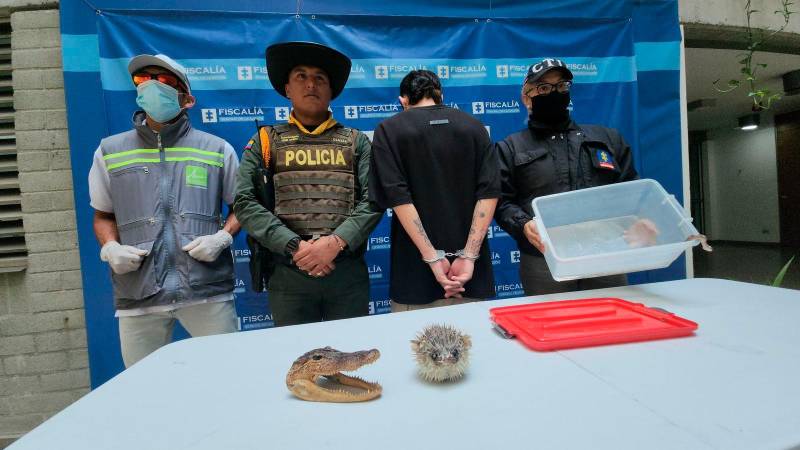 En la imagen, los otros elementos que le incautaron. /FOTO: CORTESÍA