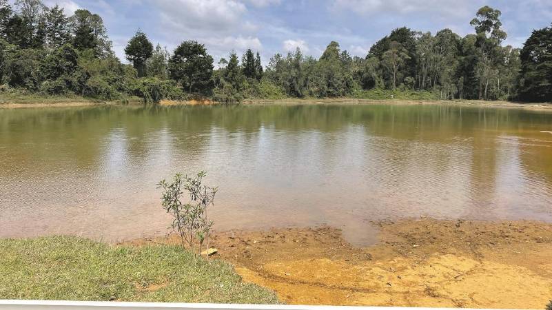 En la Laguna de Guarne, el objetivo a alcanzar, se siente paz y tranquilidad. Allá el estrés queda a un lado y solo se respira aire puro. FOTO: JAIDER ESCOBAR