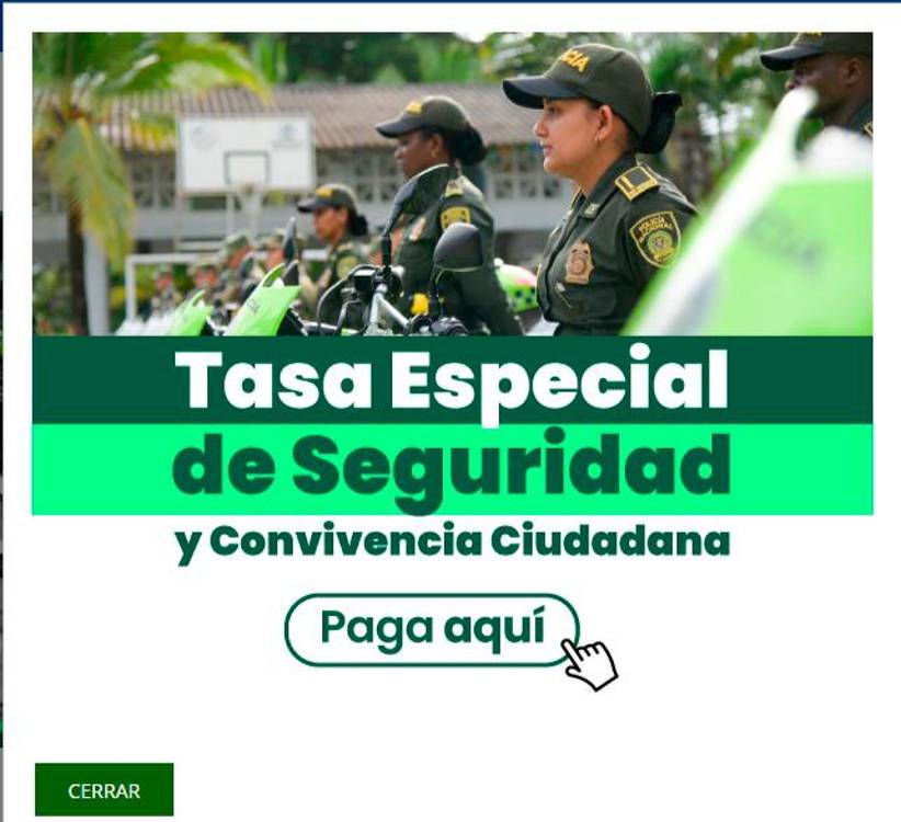 Así luce en este momento la página de la Gobernación de Antioquia donde podrá pagar la tasa especial. / FOTO: CAPTURA DE PANTALLA