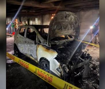 La situación fue atendida por una tripulación del Cuerpo de Bomberos Medellín. FOTO: ANTIOQUIA CONECTA