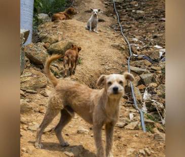 Tomar precauciones es clave. FOTO: JULIO CÉSAR HERRERA