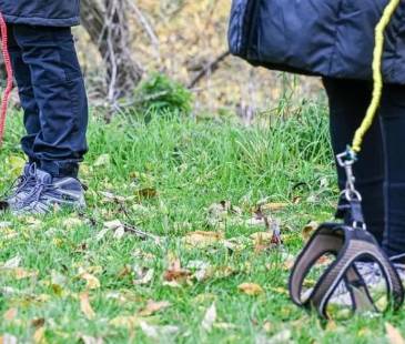 Práctica del Hoggy Doggy. FOTO: TOMADA DE EL SIGLO DE TORREÓN