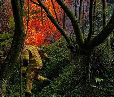 Imagen para ilustrar la nota. FOTO: ALCALDÍA DE ITAGÜÍ