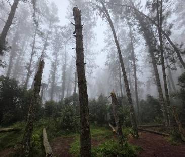 Reserva San Sebastián de la Castellana, entre los municipios de Envigado y El Retiro. FOTO: CORTESÍA