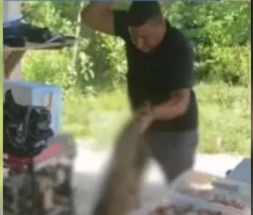 <span class="mln_uppercase_mln">El</span><b><span class="mln_uppercase_mln"> hombre fue grabado azotando contra el piso al animal. FOTO: TOMADA DE VIDEO</span></b>