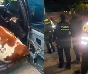 Ocurrió en las vías de Boyacá. FOTO: CAPTURAS DE VIDEO