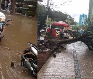 <span class="mln_uppercase_mln">Lluvias</span><b><span class="mln_uppercase_mln"> en el centro de Medellín este jueves, 5 de marzo. FOTO: DENUNCIAS ANTIOQUIA Y TOMADA DE X @Juan_Voland</span></b>