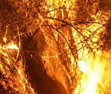Incendios en Boquerón (San Cristóbal). FOTO: CAPTURA DE VIDEO DAGRD