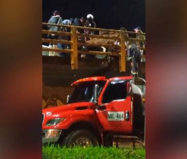 Rescate de caballo en Girardota. FOTO: CORTESÍA DENUNCIAS ANTIOQUIA