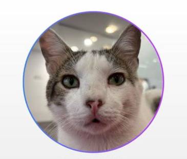 Hizo parte de la Facultad de Ciencias de la Siesta y el Ronroneo. FOTO: REDES SOCIALES UPB COLOMBIA