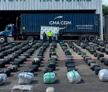 En este cargamento, que parecía una montaña de hierba, los criminales pretendían camuflar su negocio ilícito antes de ser interceptados por el Bloque de Búsqueda de la Policía. FOTO: POLICÍA
