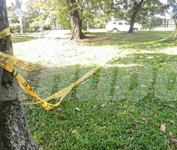 Zona verde donde encontraron apuñalado a Francisco por el barrio Colón de La Candelaria. <b><span class="mln_small-caps_mln">/FOTO: ALEJANDRA MORALES</span></b>