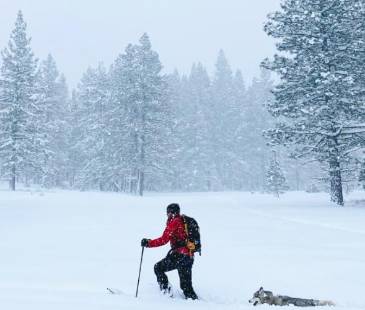 Sierra Nevada de California, lugar donde ocurrió la tragedia. FOTO: GETTY IMAGES