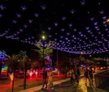 Alumbrados 2025 Parques del Río. FOTO: CAMILO SUÁREZ