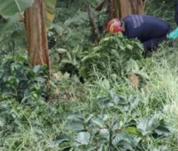 Hallazgo y levantamiento del cuerpo descompuesto en zona rural de Andes. FOTO: TOMADA DE CONEXIÓN SUR