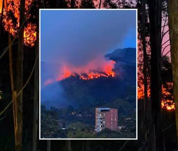 Las llamas consumieron 10 hectáreas de bosque. FOTO: ENFOQUE CINCO