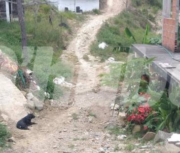 En este punto conocido como Los Pinos, falleció don Saúl, tras caer de cabeza de una mula cuando, al parecer, intentaba llevarla a una pesebrera. FOTO: GUILLERMO OSPINA