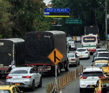 Pico y placa. FOTO: CAMILO SUÁREZ