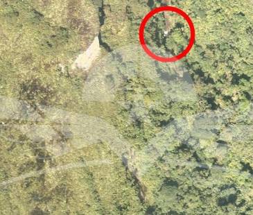 La topografía del terreno y las recientes lluvias han dificultado el acceso al lugar. FOTO: FUERZA AÉREA COLOMBIANA
