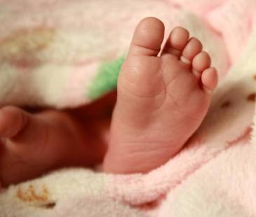 Imagen de referencia para ilustrar la noticia. FOTO: ARCHIVO 