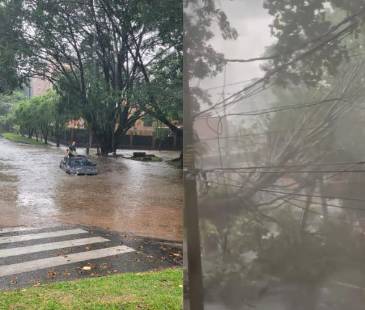 Estragos generados por las fuertes lluvias que cayeron en Medellín y en el Valle de Aburrá. FOTOS: CORTESÍA