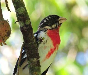 Las reservas San Miguel y Volcana Miserenga, los cerros El Volador, Nutibara y El Picacho serán escenarios de una programación que conecta biodiversidad, conocimiento científico y cultura. FOTO: ALCALDÍA DE MEDELLÍN