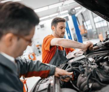 Aproveche estas opciones para que trabaje esta temporada. FOTO: CANVA