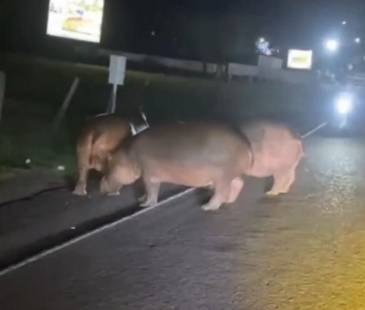La situación ha generado preocupación. FOTO: COLOMBIA OSCURA