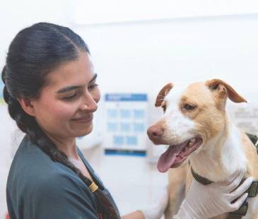 Laura Durango, veterinaria del Centro de Bienestar La Perla, fue la encargada de seguir el caso de Analí, y ahora son inseparables. FOTO: CORTESÍA ALCALDÍA DE MEDELLÍN