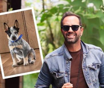 El cantante compartió fotos del pastor australiano que lo acompaña últimamente. FOTOS: INSTAGRAM @LUCASARNAU