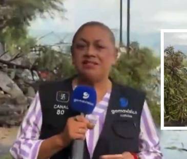 El conductor habría perdido el control del vehículo por el pavimento mojado. FOTOS: CAPTURAS DE VIDEO INSTAGRAM @GAMAVISIONMX