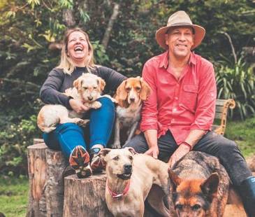 Hoy en la corporación, liderada por Ángel y Viviana (en la foto), hay 188 perros, 42 gatos, 4 caballos, 4 mini pigs y algunos animales silvestres. FOTOS: CORTESÍA