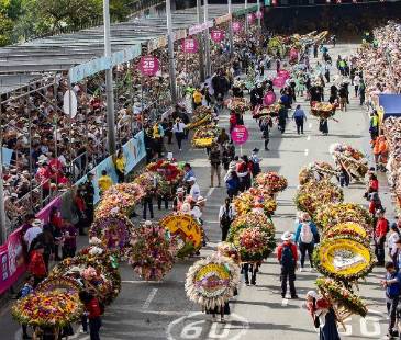 El evento tendrá como eje central el corregimiento de Santa Elena y sus silleteros. FOTO: ESNEYDER GUTIÉRREZ