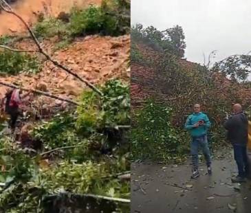 <b>Emergencia por deslizamiento de tierra en al Oriente antioqueño. FOTO: CORTESÍA DENUNCIAS ANTIOQUIA</b>
