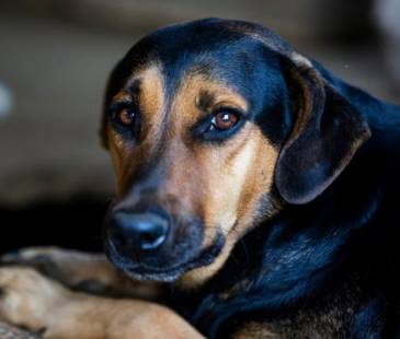 FOTO: ARCHIVO - EL COLOMBIANO
