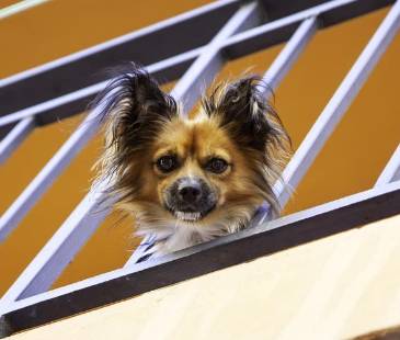 Imagen de referencia para ilustrar la nota. FOTO: CANVA