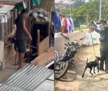 Perro rescatado tras golpiza en Itagüí. FOTO: REDES SOCIALES