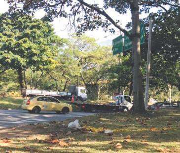 En esta zona verde de la oreja, que comunica la calle Barranquilla con la avenida Regional, fue donde encontraron el cuerpo del joven asesinado. FOTO: LAURA ROSA JIMÉNEZ VALENCIA